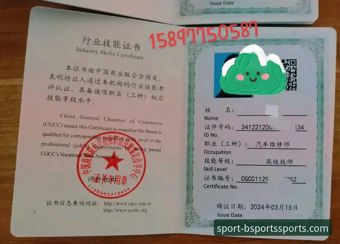 如何找到并顺利使用BSports官网2024？从注册到下载的完整指南